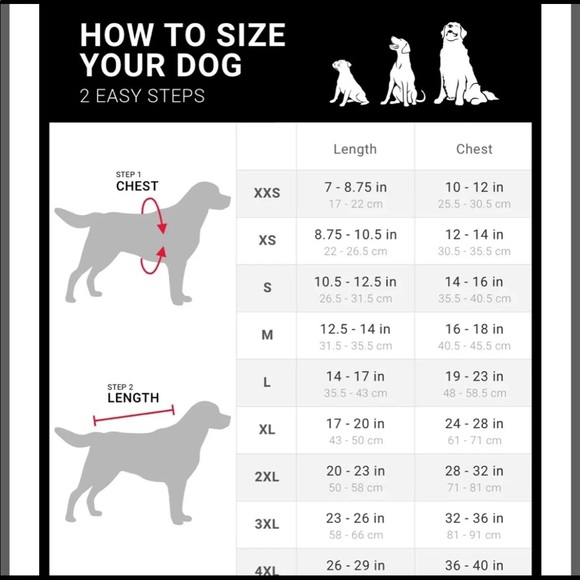 Tyson Denim Jean Jacket for Dog - Picture 4 of 10